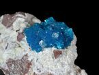 Vibrant Blue Cavansite & Calcite on Stilbite - India #62870-1